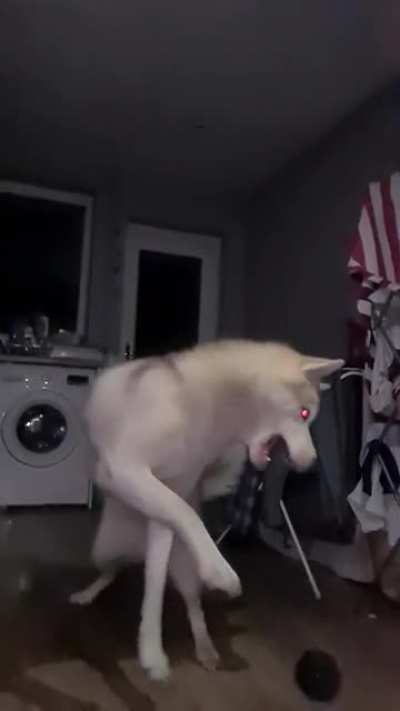Maybe maybe maybe