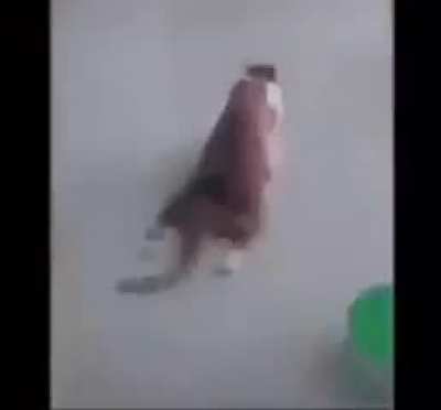scrunklers