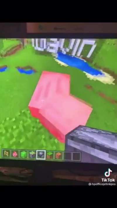 When pigs fly
