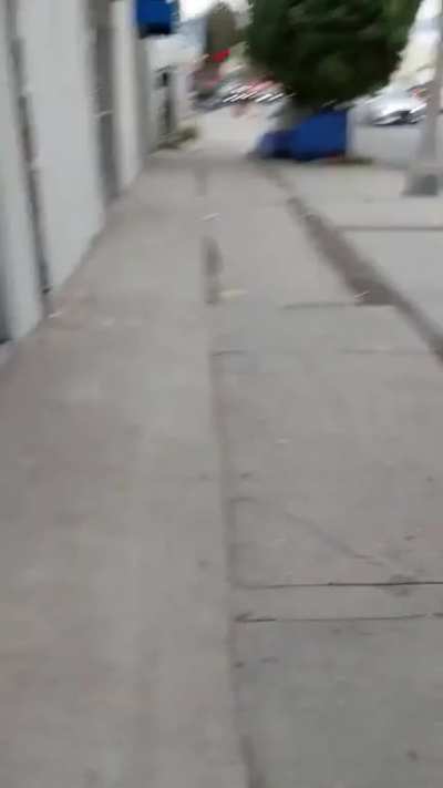 Lets see how many poos can we find in LA?
