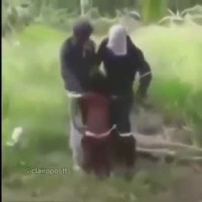 No Gore ;(