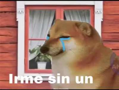 no ti quiero hamor