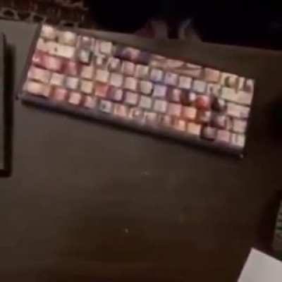 XD