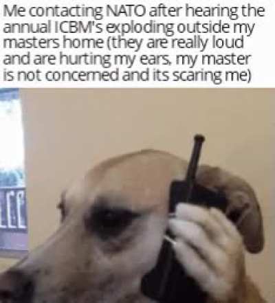 There are now people ive never seen before in my house, master has been compromised I repeat master has been compromised.