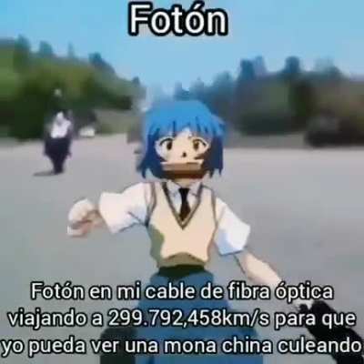 xd