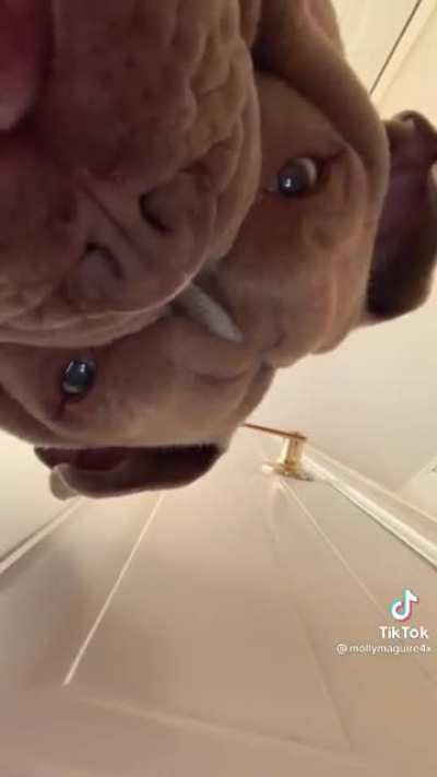 Pov