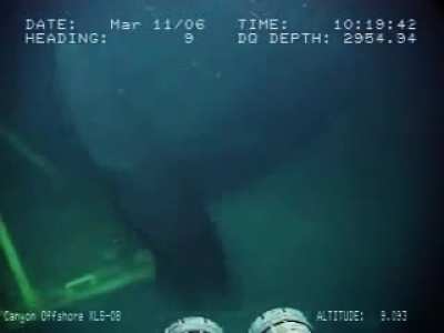 wellhead surprise at 2,956ft below the surface