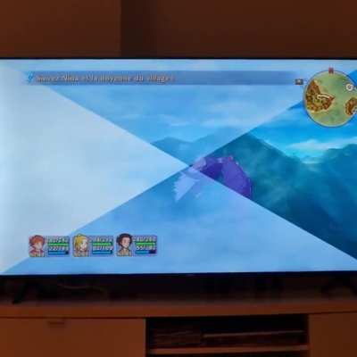 Ni no kuni 1 on switch. Any one got this glitch?