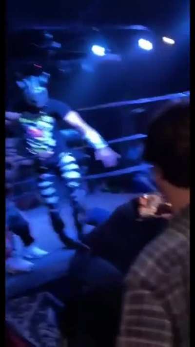 Spectator jumps into ring and gets his ass handed to him by midget wrestlers
