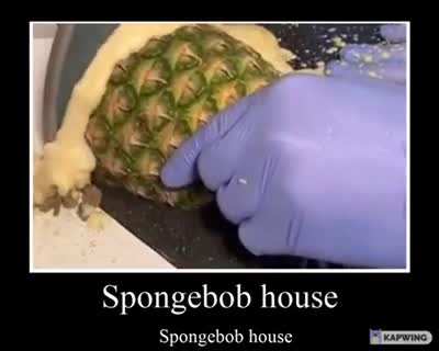Spongbob