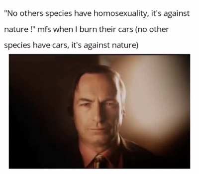 "Homosexuality is against nature" then almost everything we have is against nature