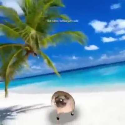 Pug be viben tho