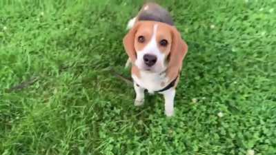 GIVE STICK BACK