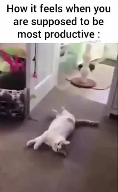 Everytime feels so lazy
