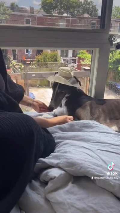 I made him a tiny hat for our beach trip