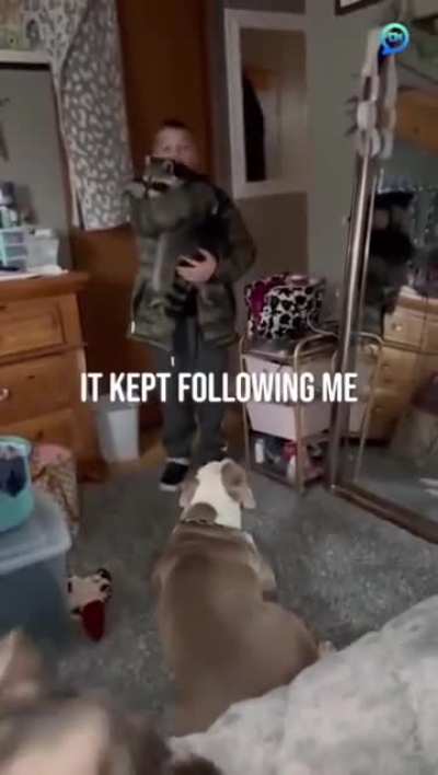 But friend shape...