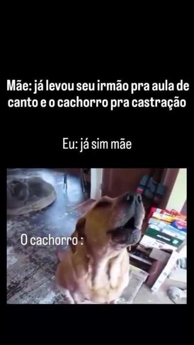 esse &eacute; definitivamente o melhor v&iacute;deo que eu j&aacute; vi em toda a minha vida miser&aacute;vel