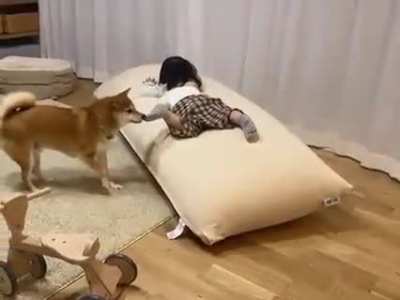 Sock thief spotted