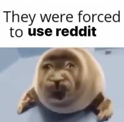 wholesome seal