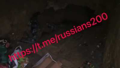 Cute Black Kitty Just Finished Eating a dead Russian Soldiers.