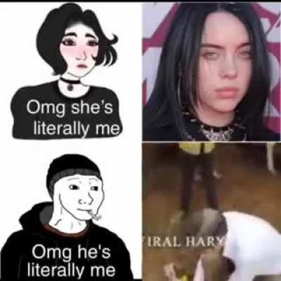 Average Billie eyelish fan🤢🤮 vs Average r/chodi enjoyer💪💪😤