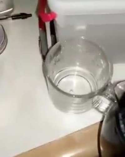 servidos?