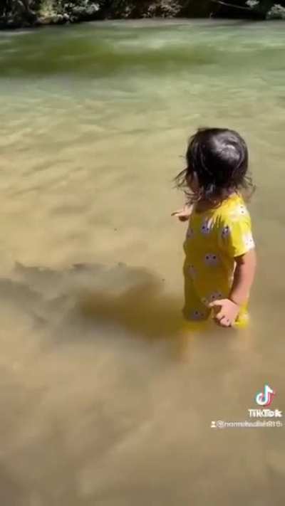 What the fish!