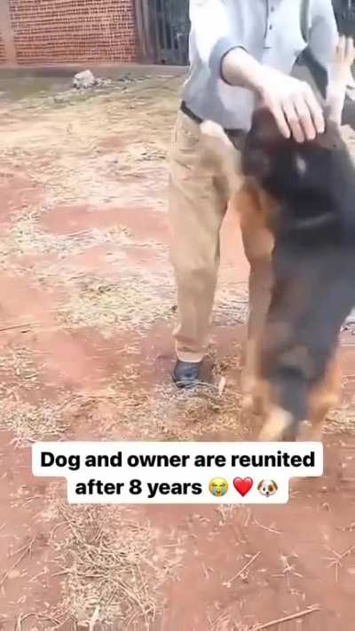 Dog &amp; owner reunited after 8 years!