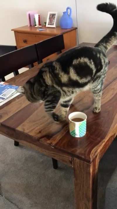 He &lsquo;buries&rsquo; coffee because he doesn&rsquo;t like the smell.