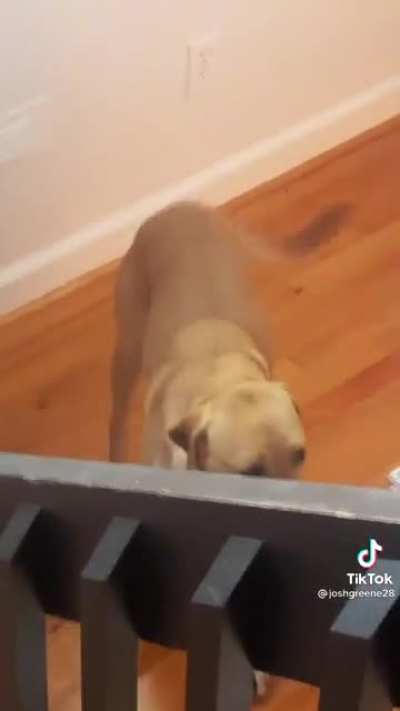 Doggy style?