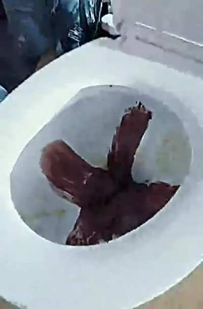 cursed_toilet_cream