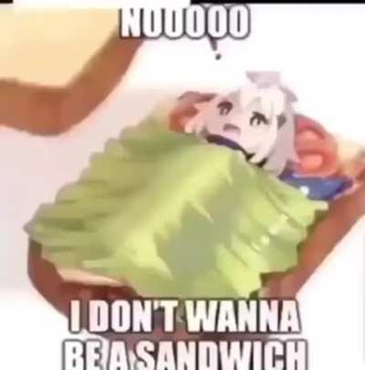 Nooo ay do vana bi send&uuml;viş
