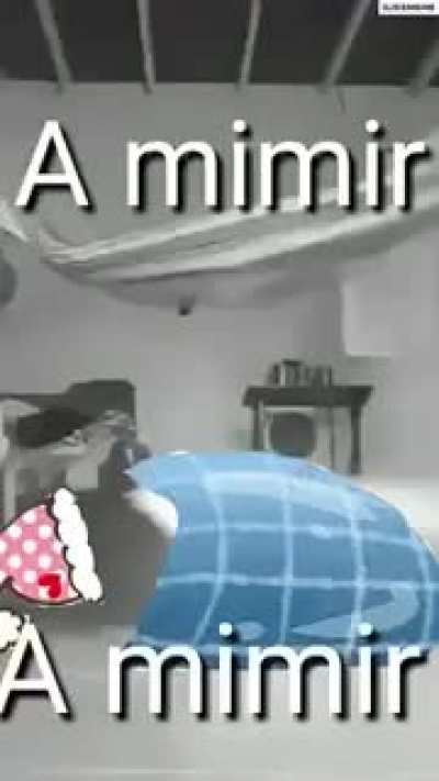a mimir a&ntilde;a&ntilde;in😎👌