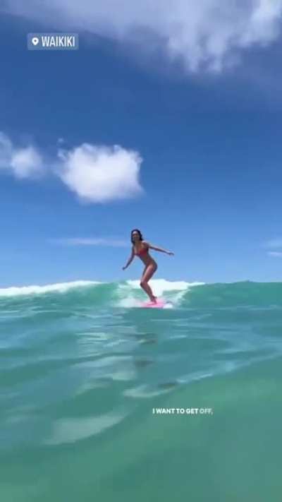 Surfer Girl - Lily Chee