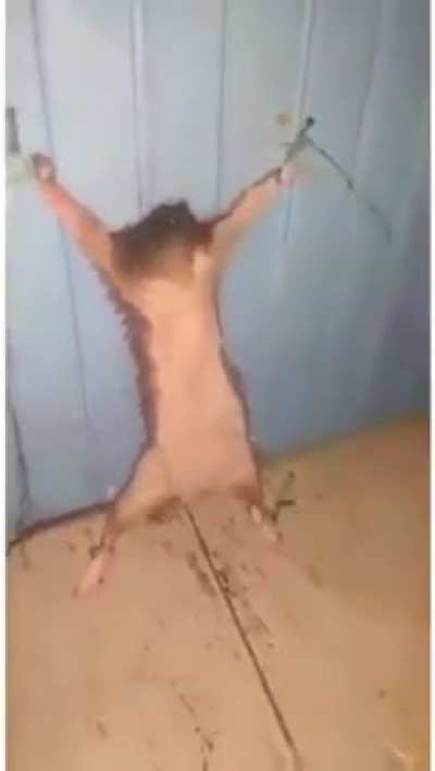 a&ccedil; ulan
