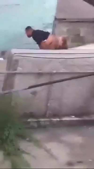 Nature is beautiful 