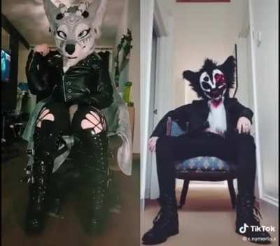 I hate full fursuit and I hate when they show skin too, there’s no right way to furry 🙀