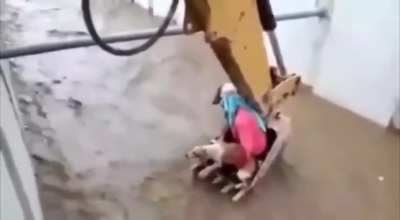 Emocionante 