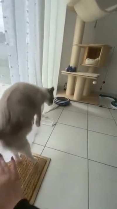 Взлёт