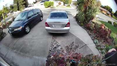 Shameless plant thief in Walnut Creek, CA!