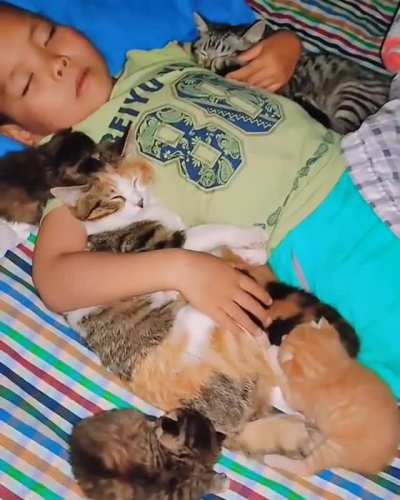 Best Buddies