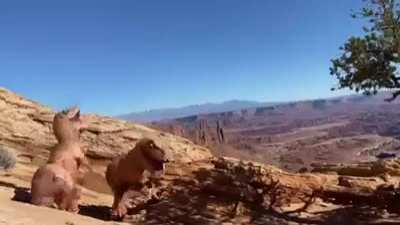 Something strange happened on our NP trip to Utah&hellip;.
