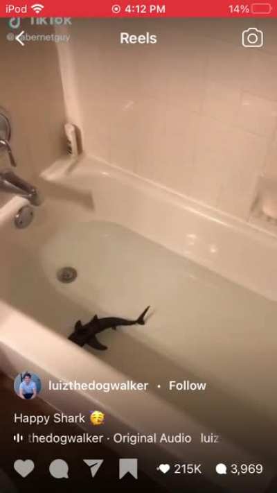 Tiktoker kidnaps starving shark and keep it in it&rsquo;s bathtub while feeding it with goldfish food.