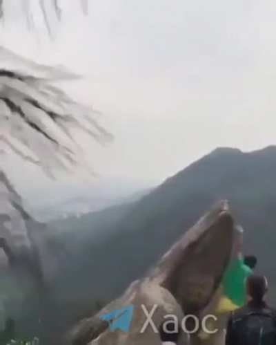 WCGW stupid picture