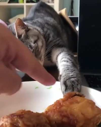 Touch the chimken!