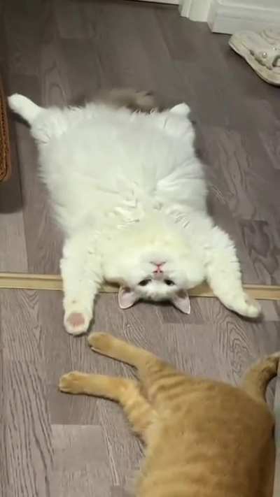 Fluffy Girl