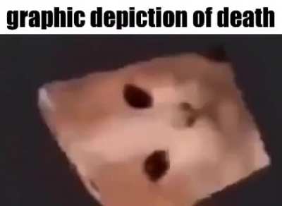 mortality salience