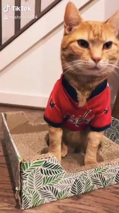 Nemo&rsquo;s a diehard fan