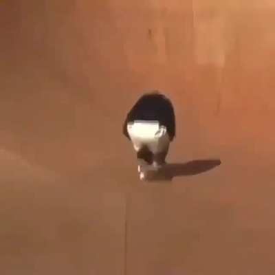fua, guapísimo el nuevo Tony Hawk eh?