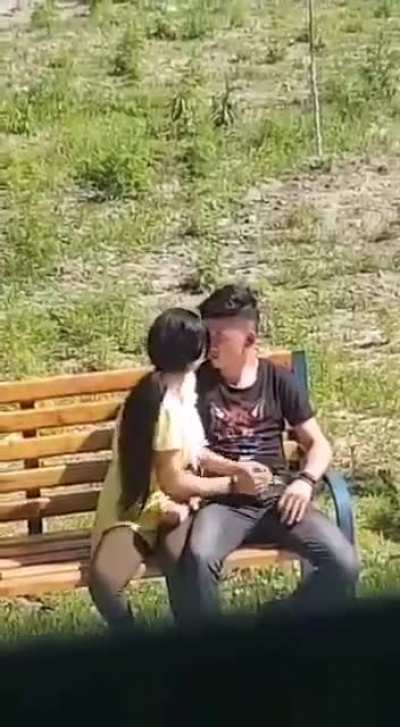 giving head in the park